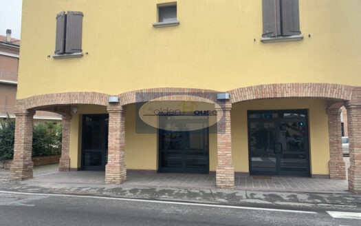 Z220 – AFFITTO a Minerbio