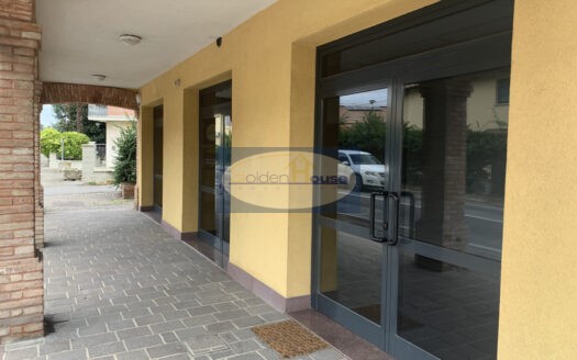 Z220 – AFFITTO a Minerbio