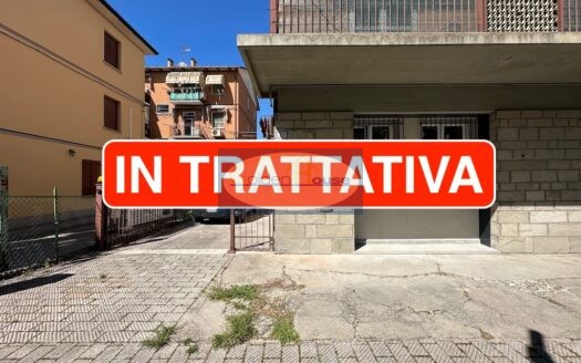 A317 – VENDITA a Molinella