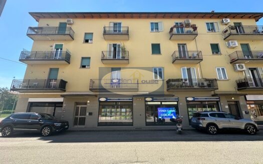 A319 – VENDITA a Molinella