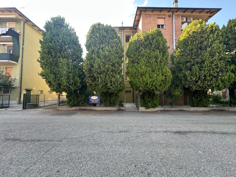 Vendita a Molinella