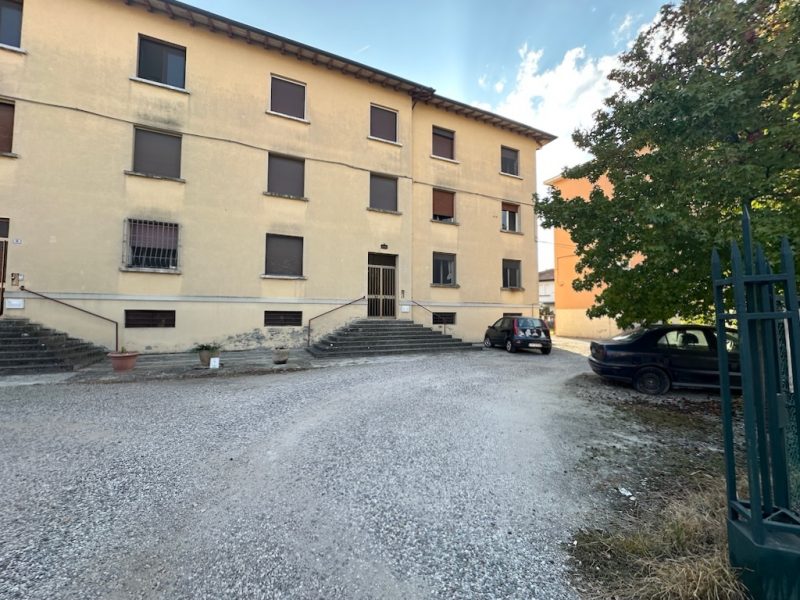 Vendita a Molinella