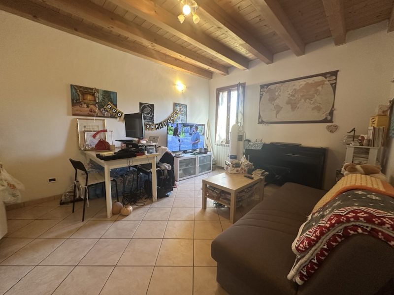 Vendita a Molinella
