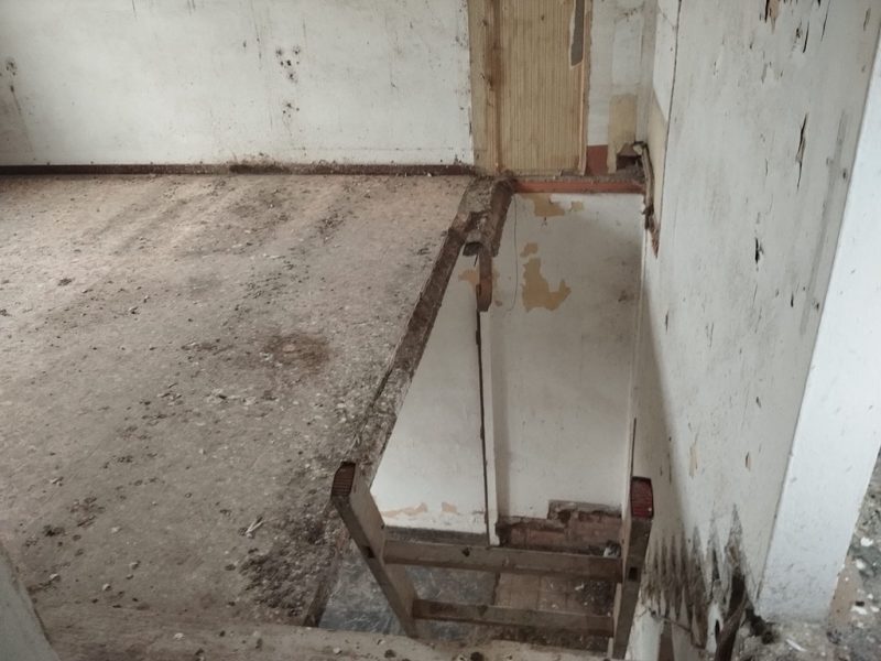 G484m vendita a Montalbano (FE)