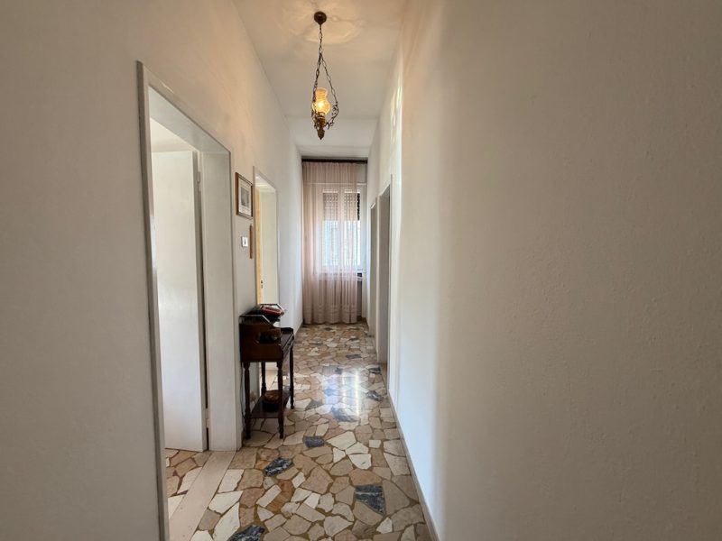 G513n Vendita a Molinella