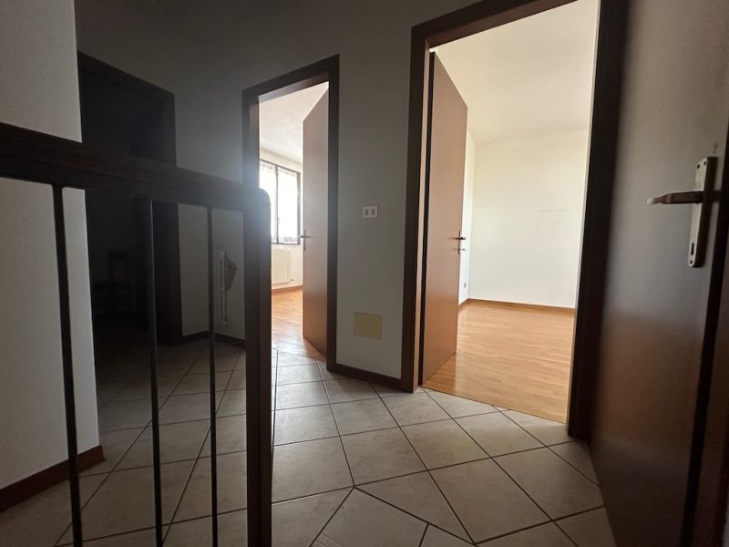 G517m Vendita a Molinella