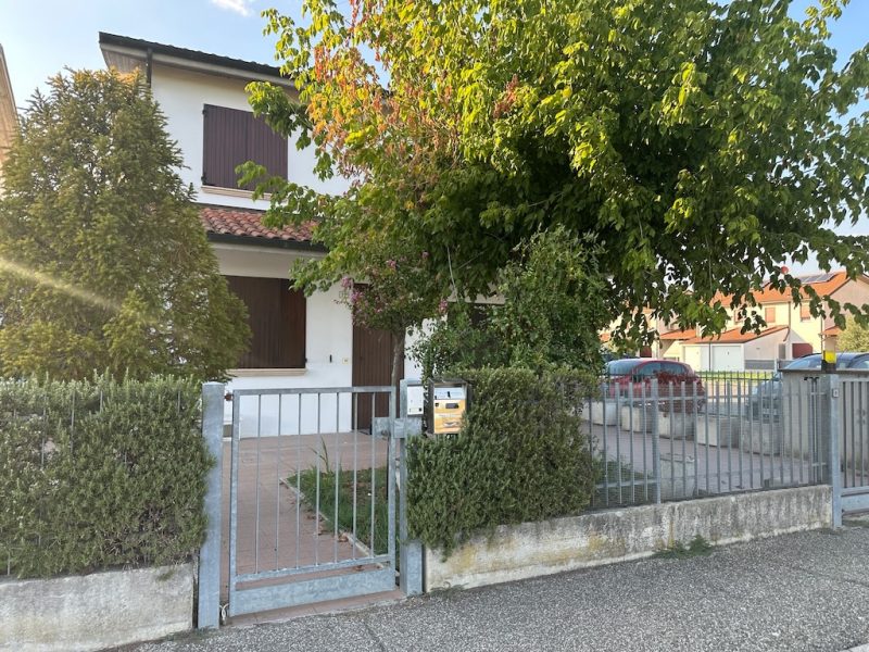 G517zm Vendita a Molinella