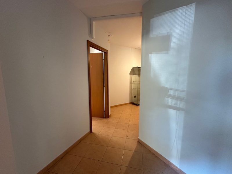 L103b Vendita a Molinella