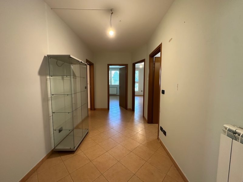 L103c Vendita a Molinella