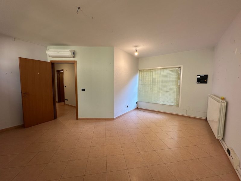 L103f Vendita a Molinella