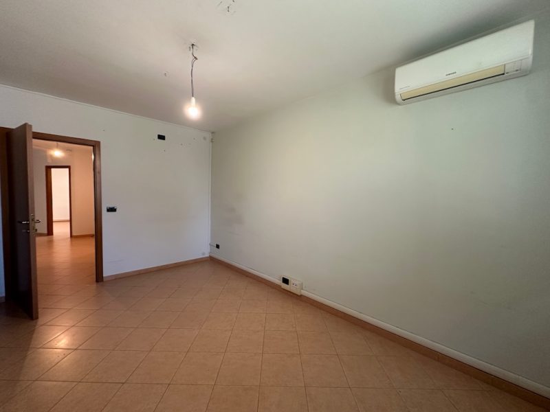 L103n Vendita a Molinella