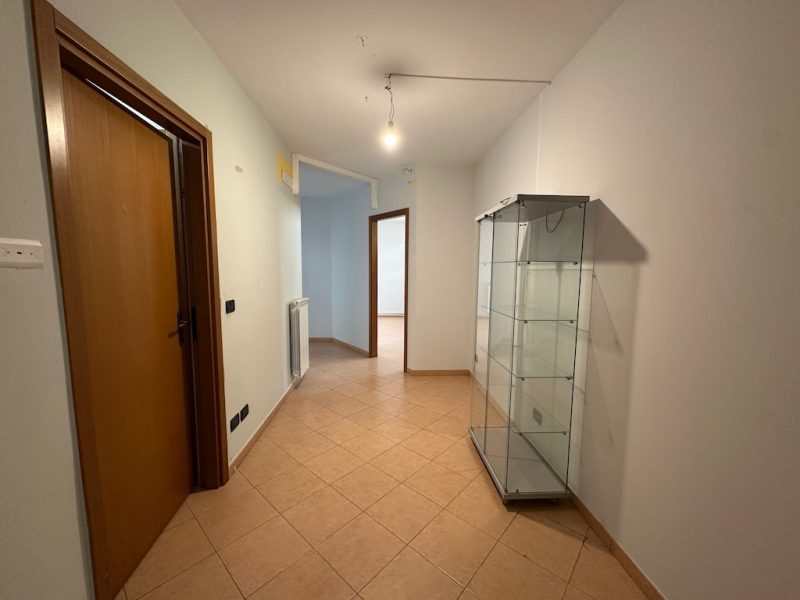 L103q Vendita a Molinella